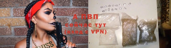 ГАЛЛЮЦИНОГЕННЫЕ ГРИБЫ Дедовск