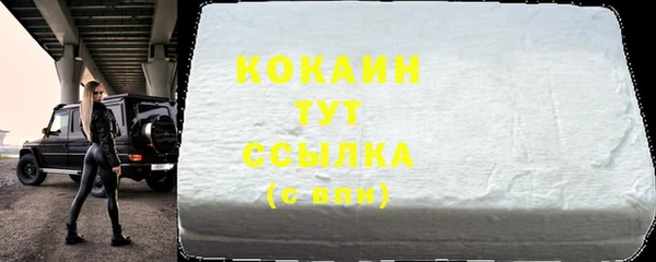 стафф Губаха