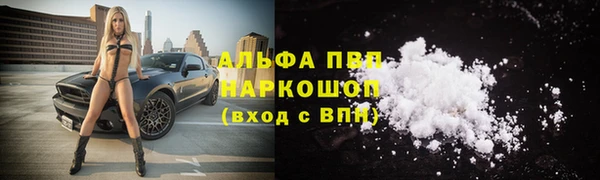 прущие грибы Грязовец