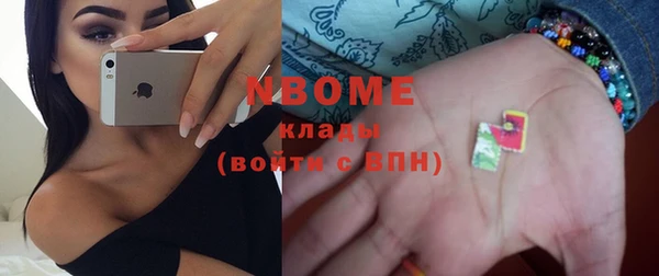 прущие грибы Грязовец