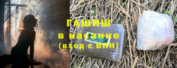 стафф Губаха