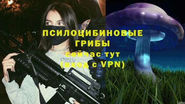 прущие грибы Грязовец