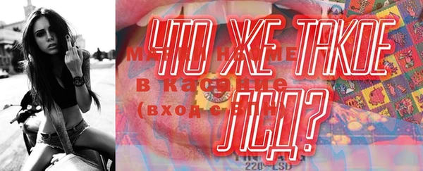стафф Губаха