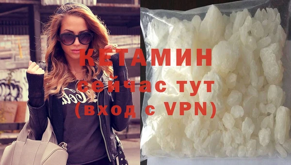 прущие грибы Грязовец