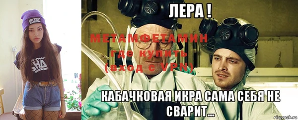 прущие грибы Грязовец