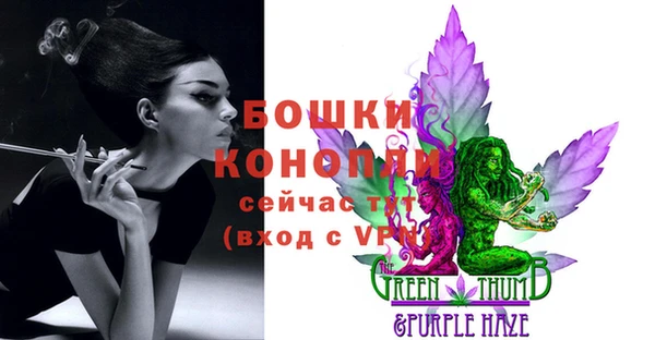 сатива Лихославль