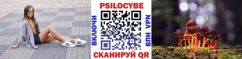 Псилоцибиновые грибы Psilocybine cubensis Любим